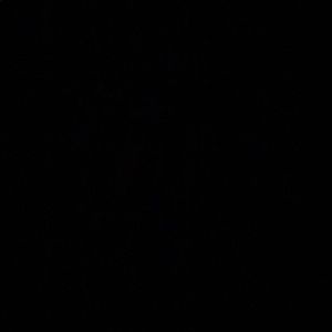 Meet your Posher, Antonio